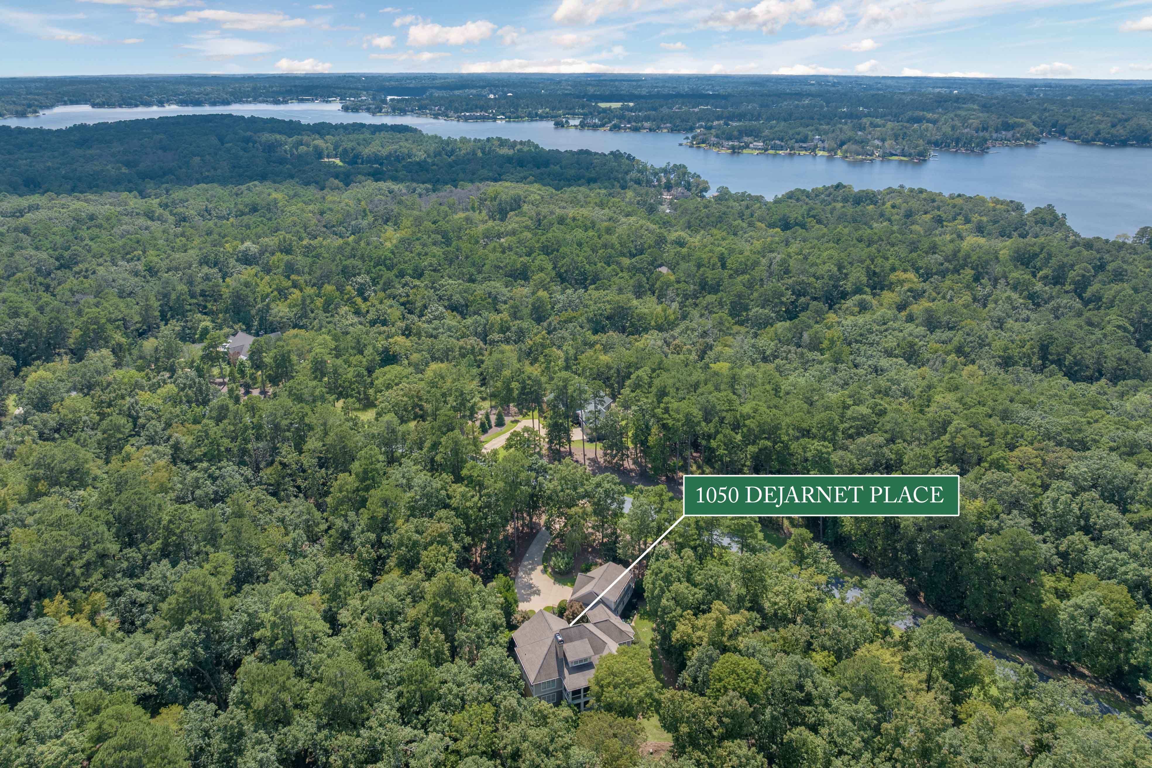 1050 Dejarnet Place image 59